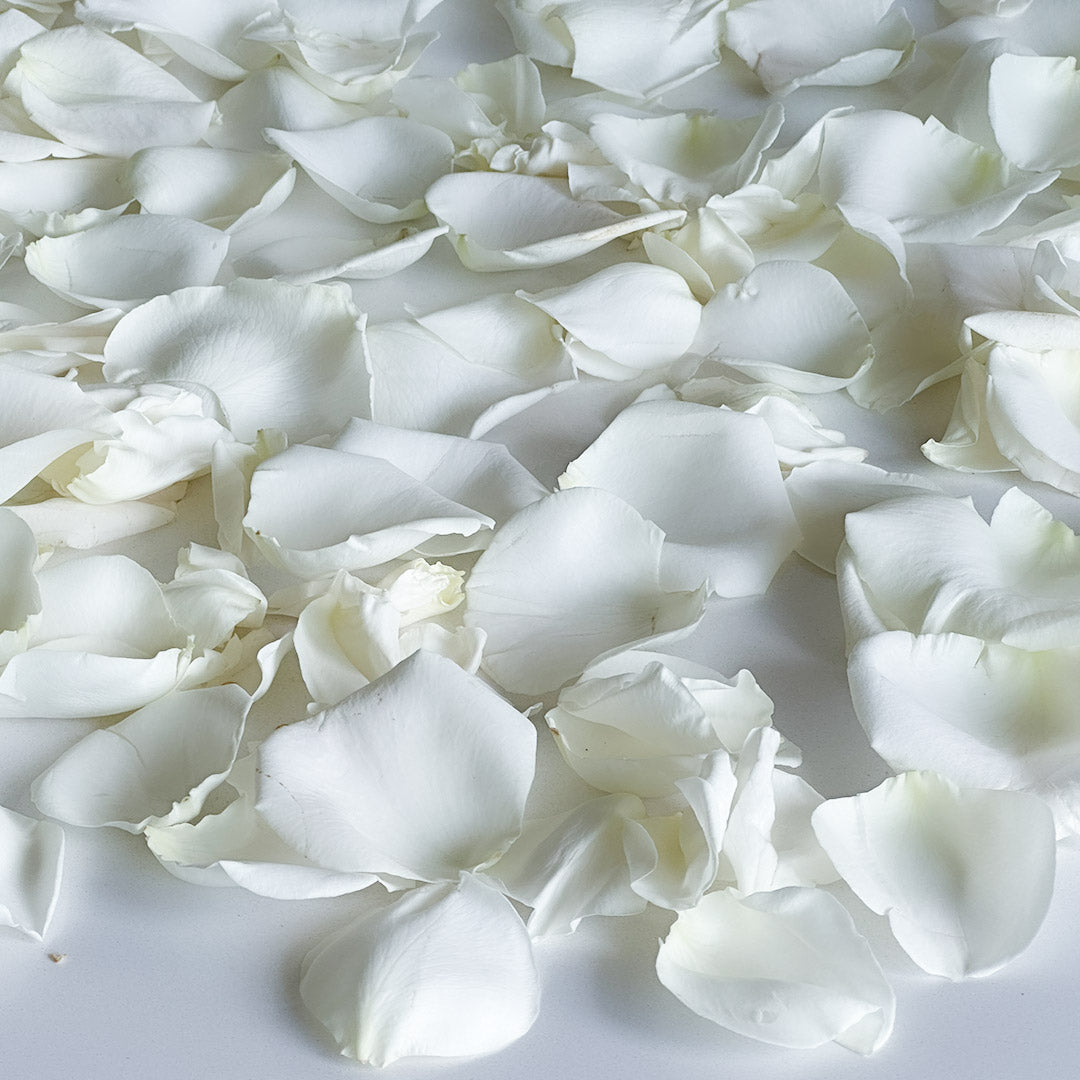 Generic 80-Piece White Rose Petals Decoration