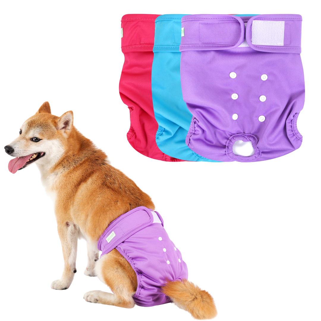 Wegreeco 5 Pack Washable Dog Diapers, Small