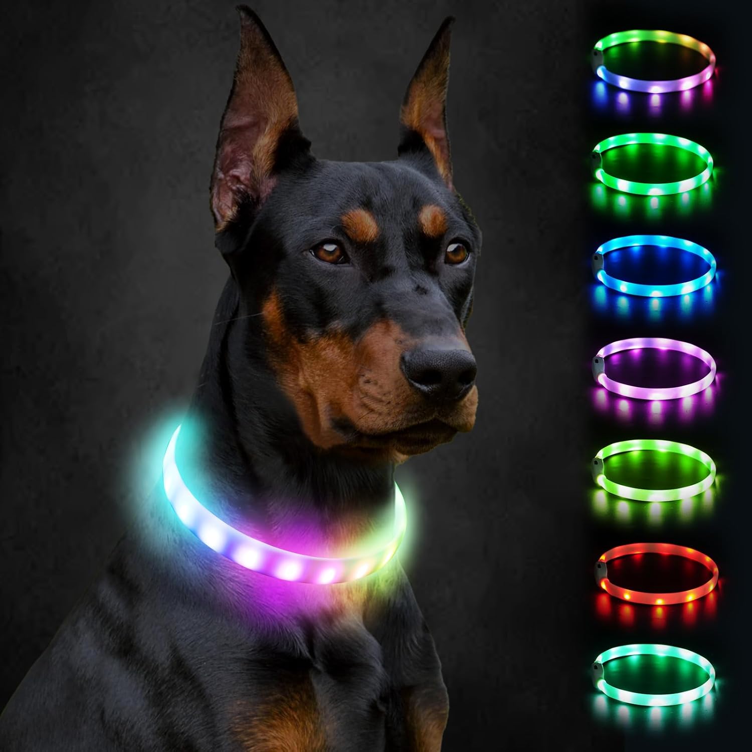 Joytale LED Dog Collar