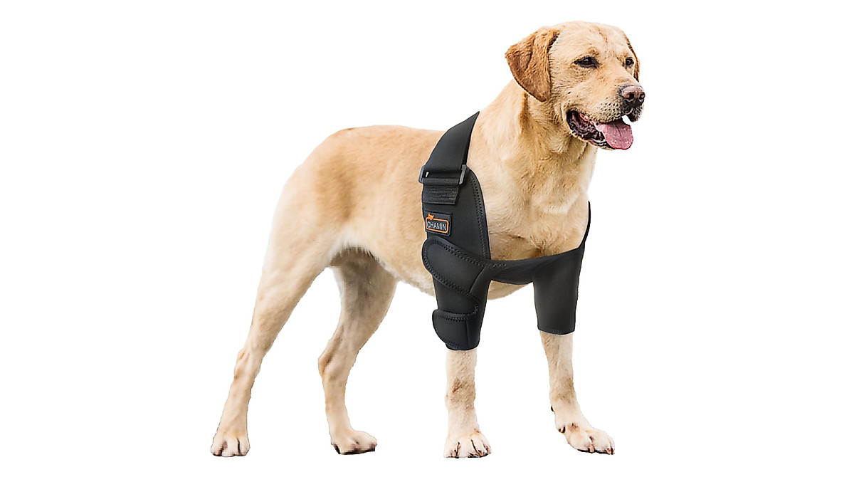 CHAMIN Dog Elbow Brace