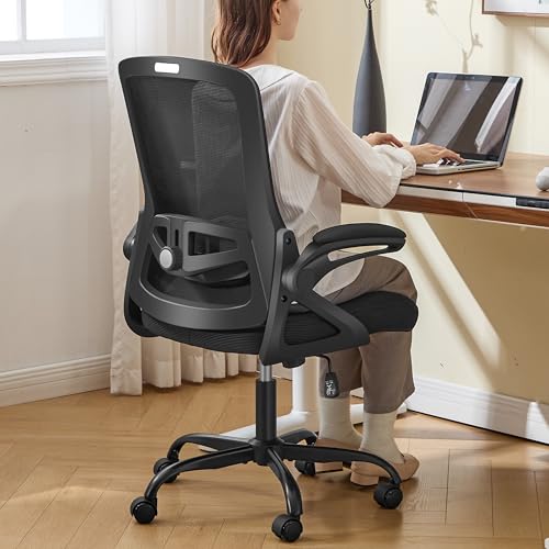 Nexthro Ergonomic Office Desk Chair - Black