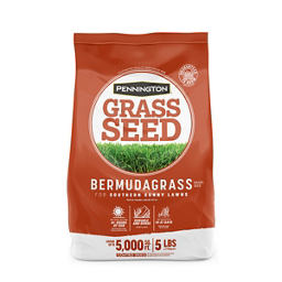 Pennington Bermudagrass Penkoted Grass Seed 5 lb