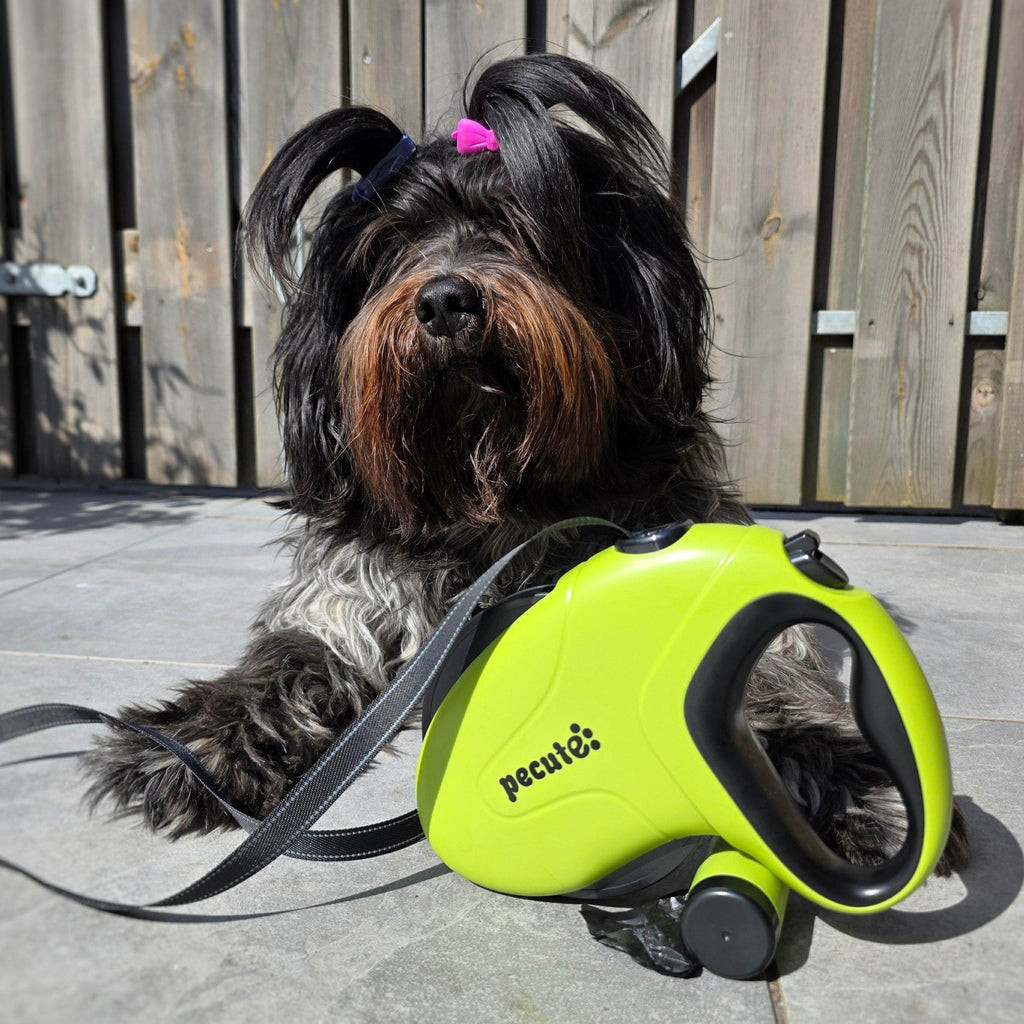 Pecute Retractable Pet Leash with Light, Medium (30kg/66lb)