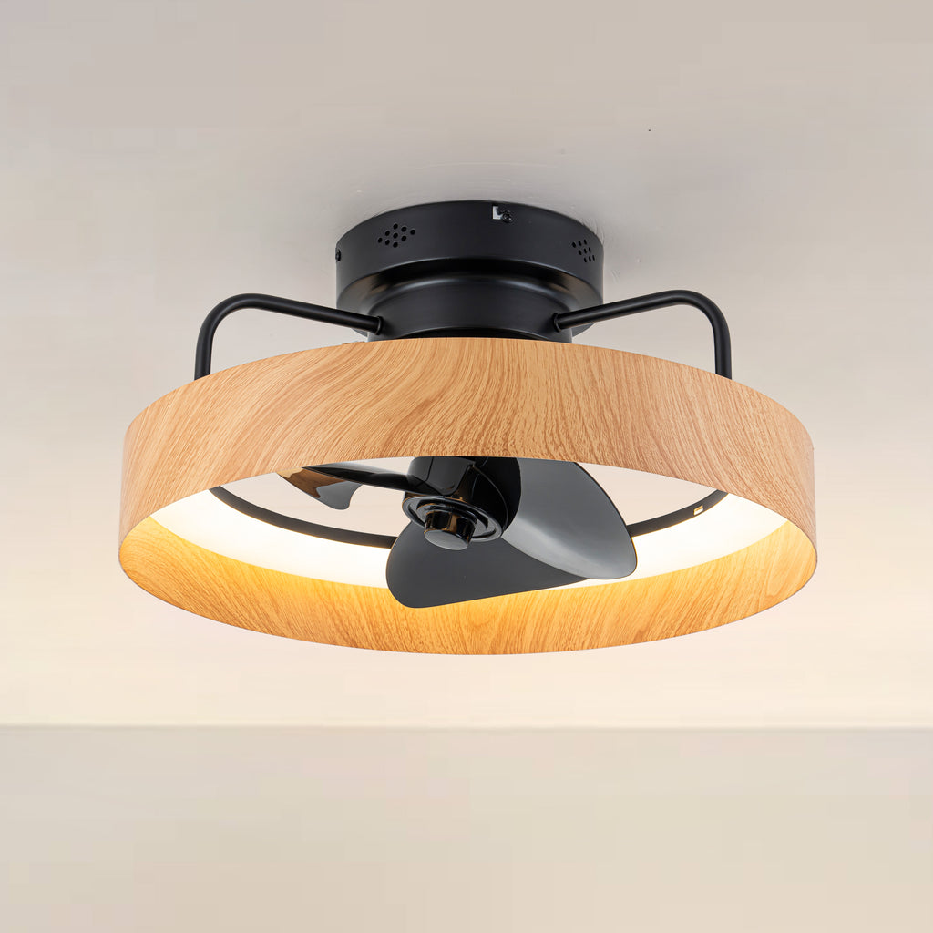 Cattleya Lighting & Ceiling Fan