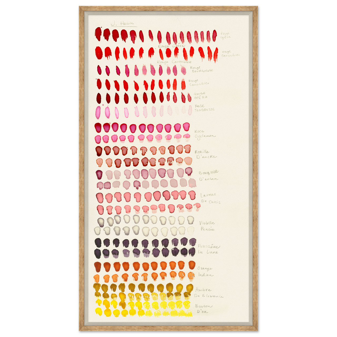 Swatch Rose by Susan Hable - Picture Frame Graphic Art